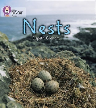 COLLINS BIG CAT NESTS resmi