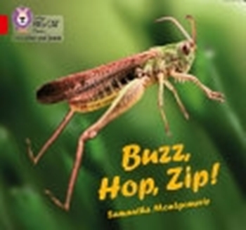 COLLINS BIG CAT BUZZ, HOP, ZIP resmi