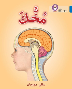 BIG CAT ARABIC-UR BRAIN resmi