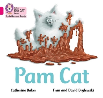 COLLINS BIG CAT PAM CAT resmi
