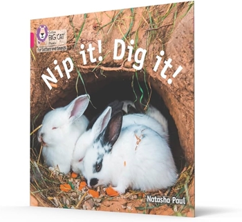 COLLINS BIG CAT NIP IT! DIG IT! resmi